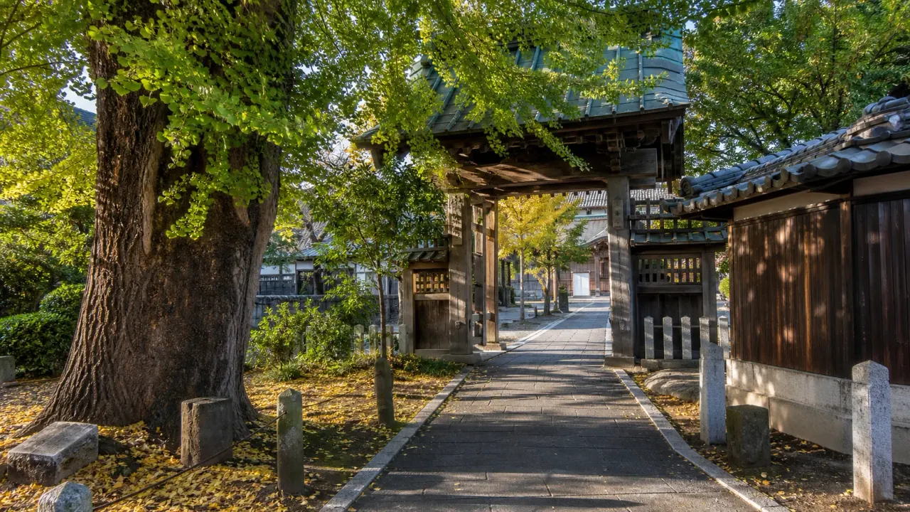 藤沢駅から遊行寺とふじさわ宿交流館をつなぎ、旧東海道藤沢宿の気配を静かに歩く散歩を紹介。海辺とは違う藤沢を味わう1時間半の使い方をまとめます。