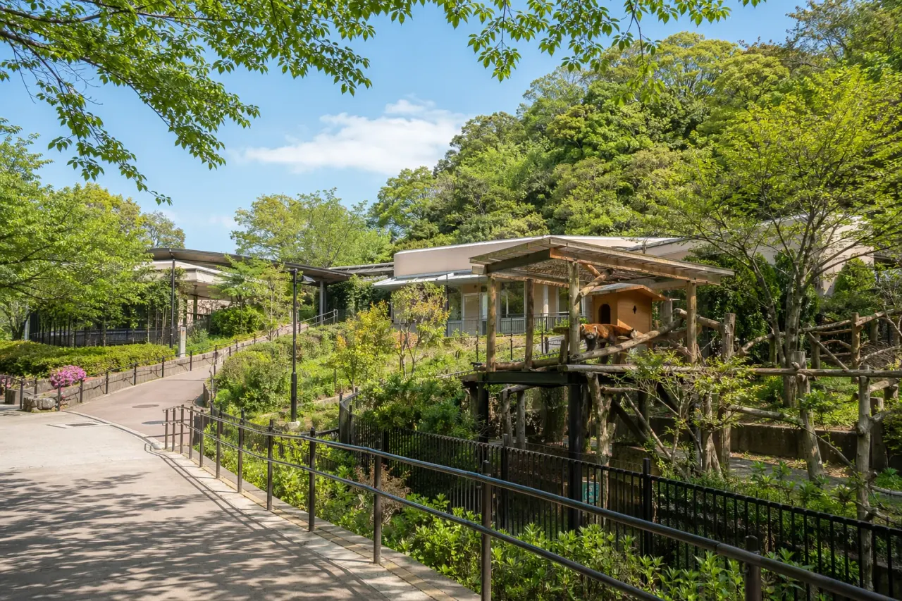 夢見ヶ崎動物公園で、動物と自然林の丘を気軽に歩く散歩を紹介。新川崎駅から入りやすく、レッサーパンダや緑の空気を1時間半で味わう使い方をまとめます。